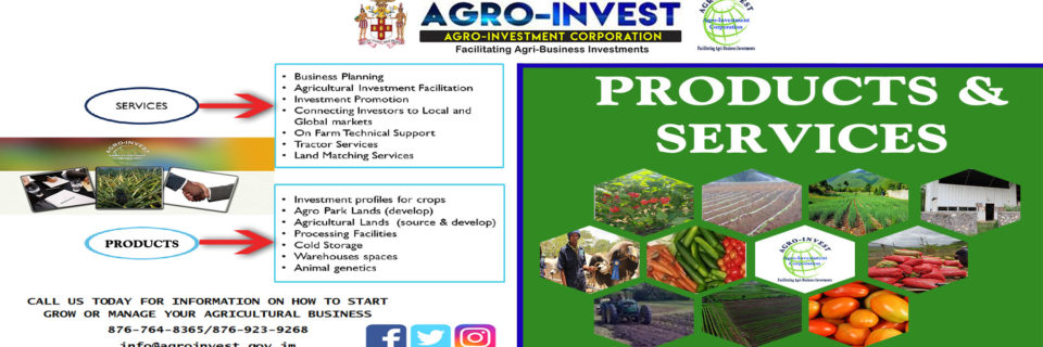 Investing in agro business in jamaica 203 betsy place napa ca weather